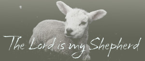 shepherds 2