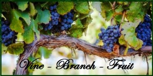 Vine-branch-fruit